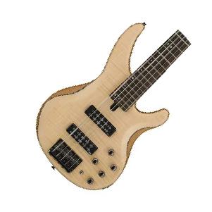 5-string Bass Guitars