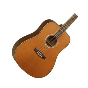 6-string Acoustic Guitars