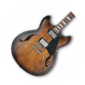 Semi-hollowbody Guitars