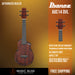 Ibanez AUC14 Concert Ukulele with Bag - Open Pore Violin Sunburst - Music Bliss Malaysia