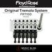 Floyd Rose FRT100 Original Tremolo System with Floyd Rose FRNR2CP R2 Locking Nut Package - Music Bliss Malaysia