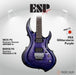 ESP Original FRX - Glitterstorm Purple [MIJ - Made in Japan] - Music Bliss Malaysia