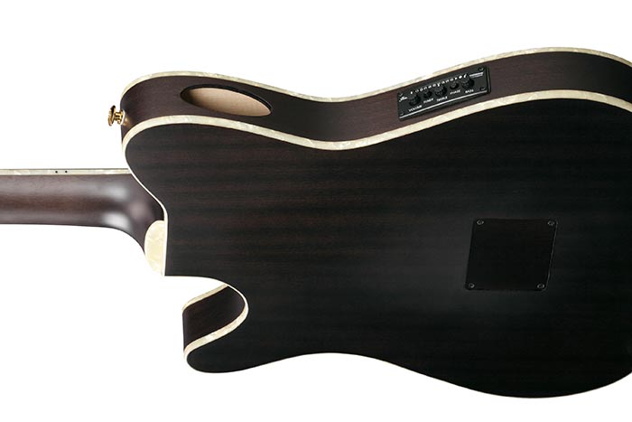 Ibanez TOD10N Tim Henson Signature Nylon Acoustic-electric Guitar - Transparent Black Flat