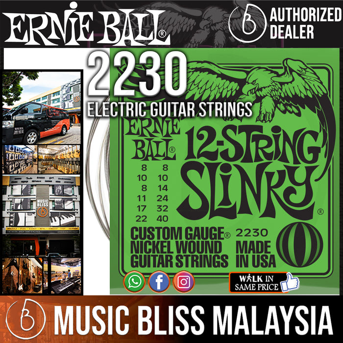 Ernie ball online 2230