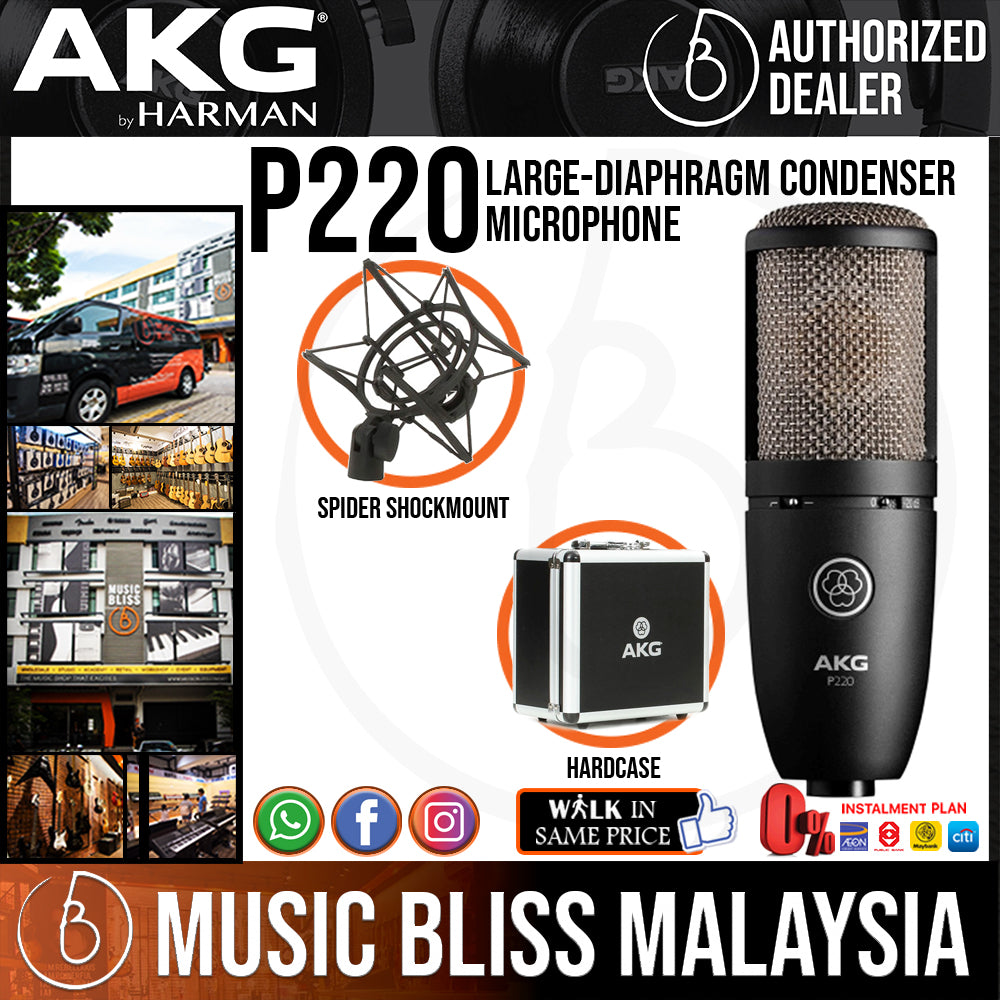 AKG P220 Large-diaphragm Condenser Microphone | Music Bliss Malaysia