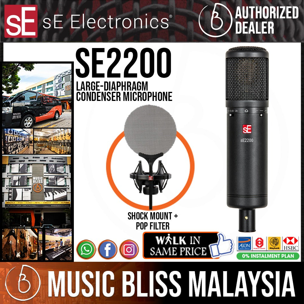 SE Electronics sE2200 Large-diaphragm Condenser Microphone | Music